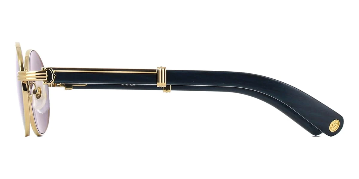Cartier CT0464S 008 - Image 3