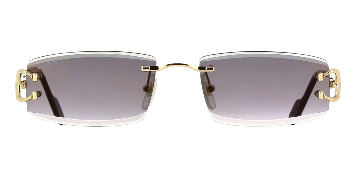 Cartier CT0465S 001 - As Seen On Eberechi Eze & Ruben Dias - Image 2