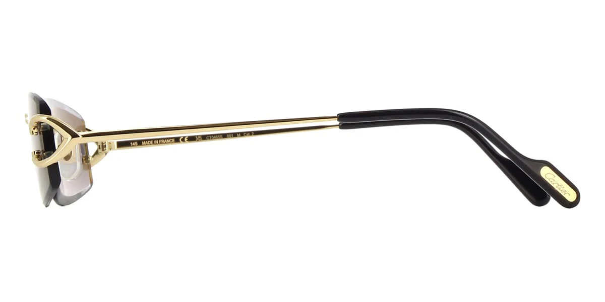 Cartier CT0465S 001 - As Seen On Eberechi Eze & Ruben Dias - Image 3