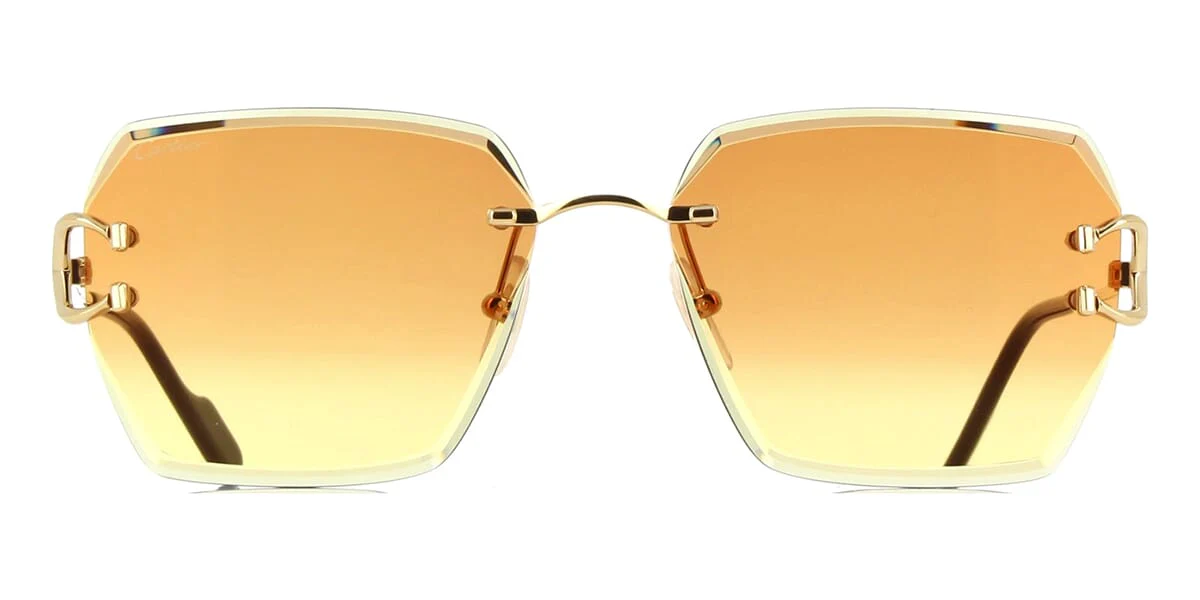 Cartier CT0466S 004 - Image 2