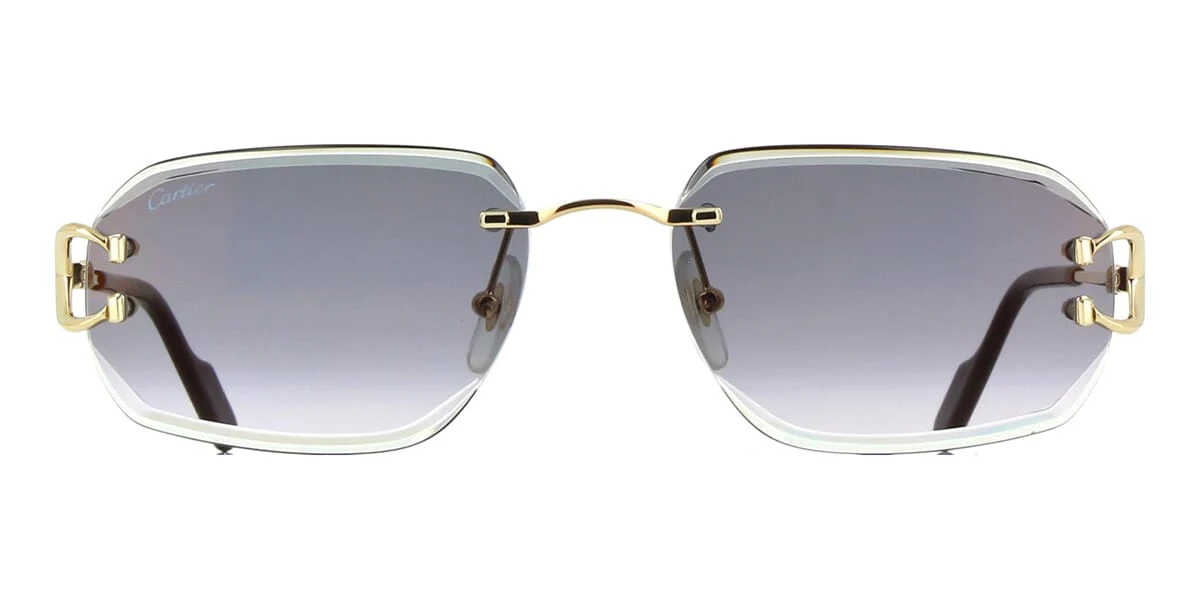 Cartier CT0468S 001 - As Seen On Keith Lee - Image 2