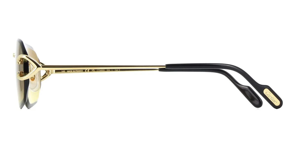 Cartier CT0468S 004 - As Seen On Beyonce - Image 3