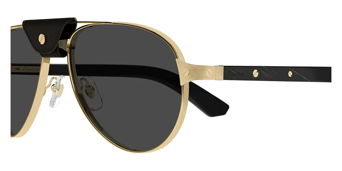 Cartier CT0495S 001 polarised - Image 3