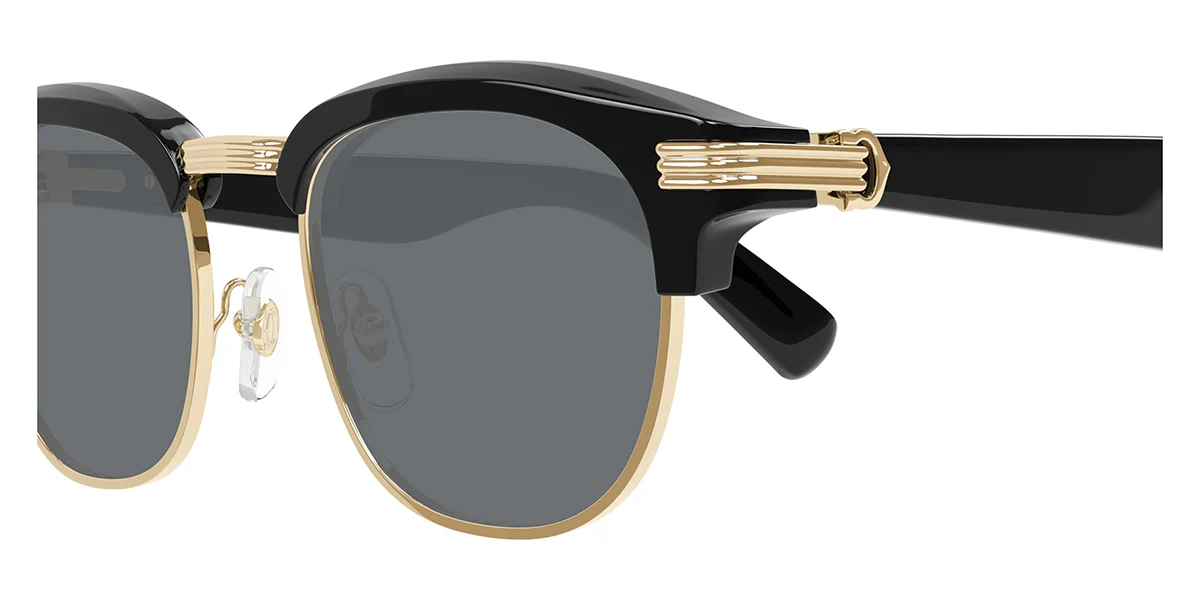 Cartier CT0496S 003 - Image 3