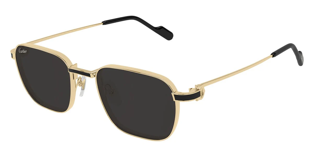 Cartier CT0497S 006