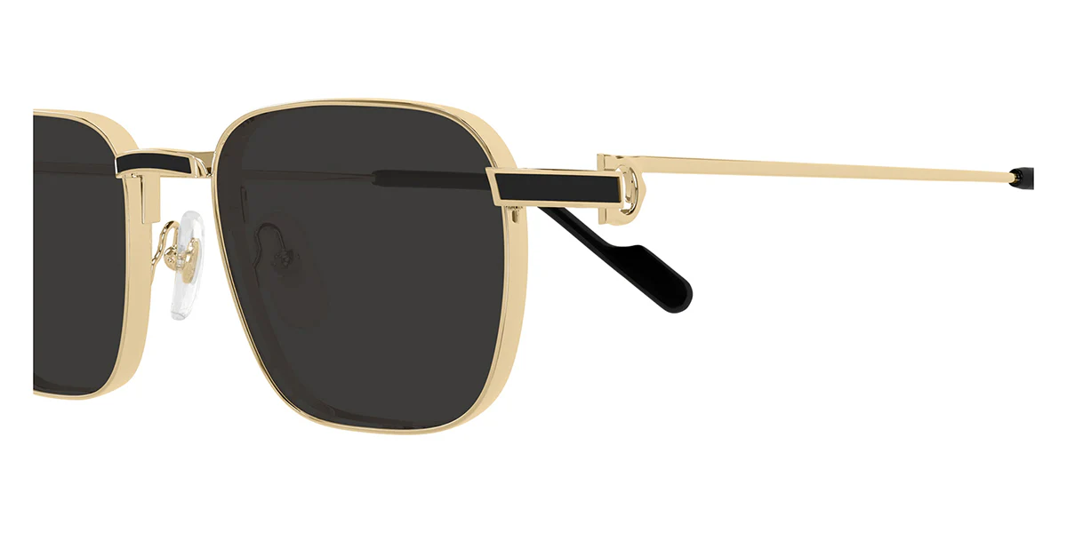 Cartier CT0497S 006 - Image 3
