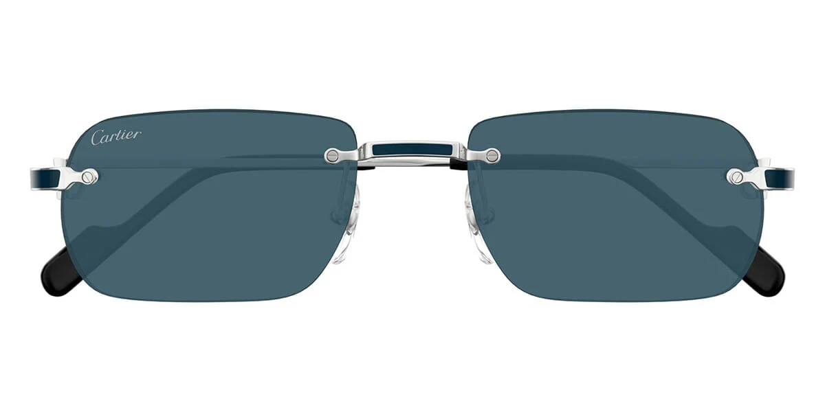 Cartier CT0498S 004 - Image 2
