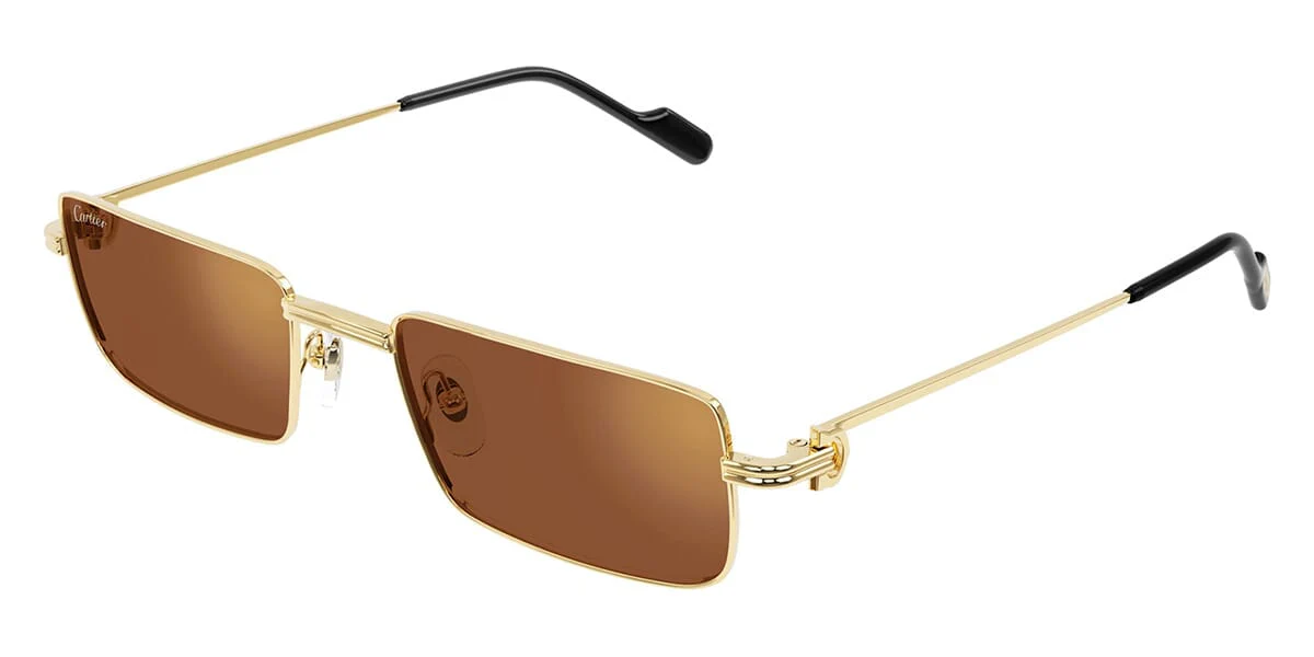 Cartier CT0501S 006