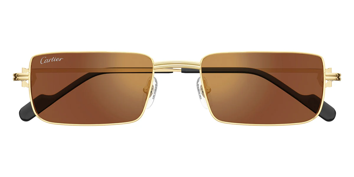 Cartier CT0501S 006 - Image 2