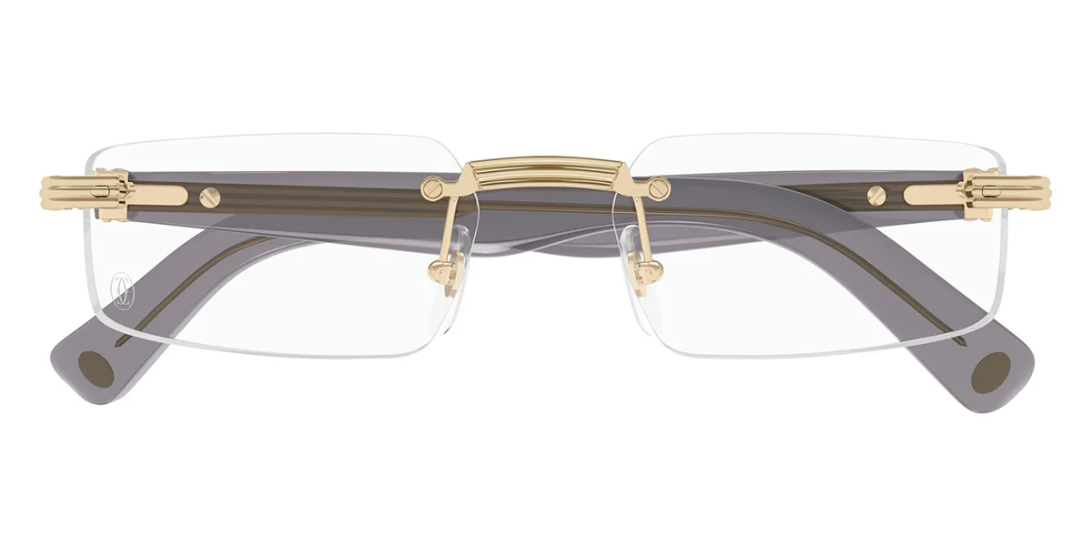 Cartier CT0537O 001 - Image 2