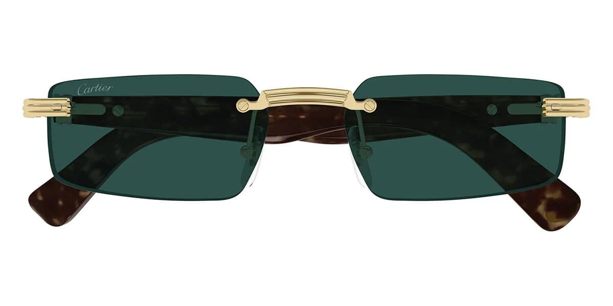 Cartier CT0537S 002 - Image 2