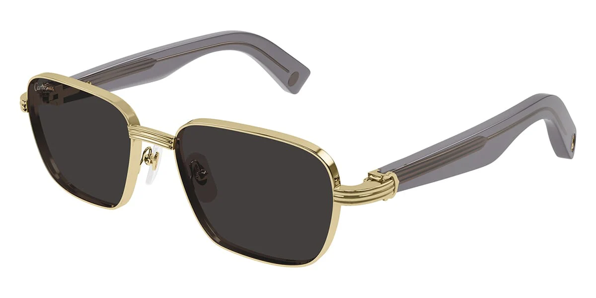 Cartier CT0538S 006