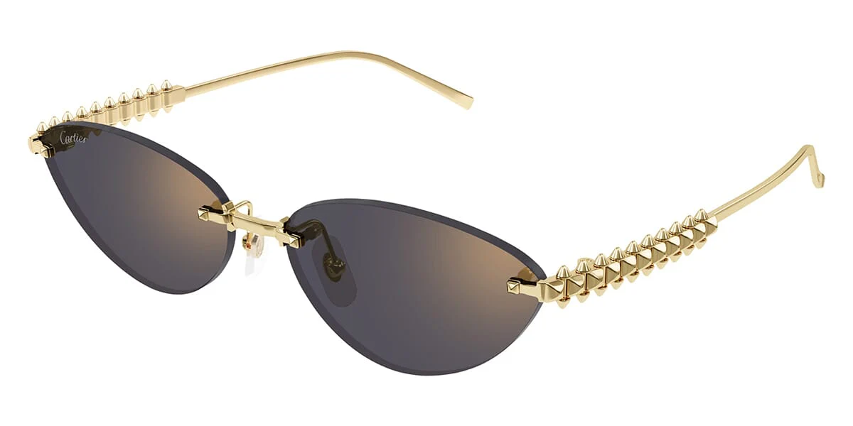 Cartier CT0543S 003