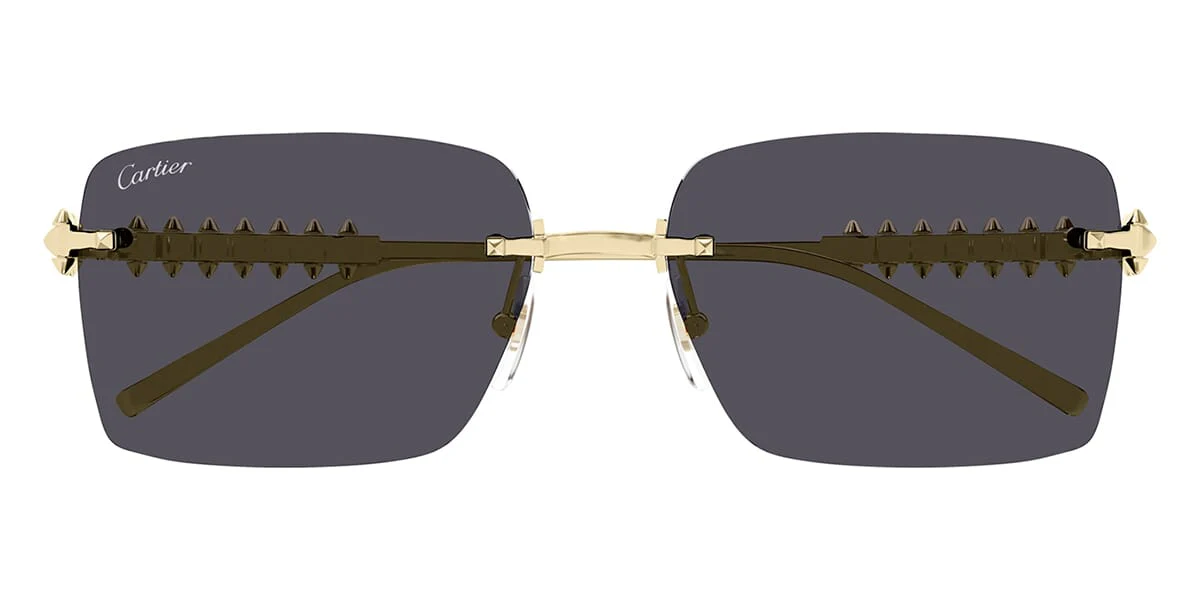 Cartier CT0545S 002 - Image 2