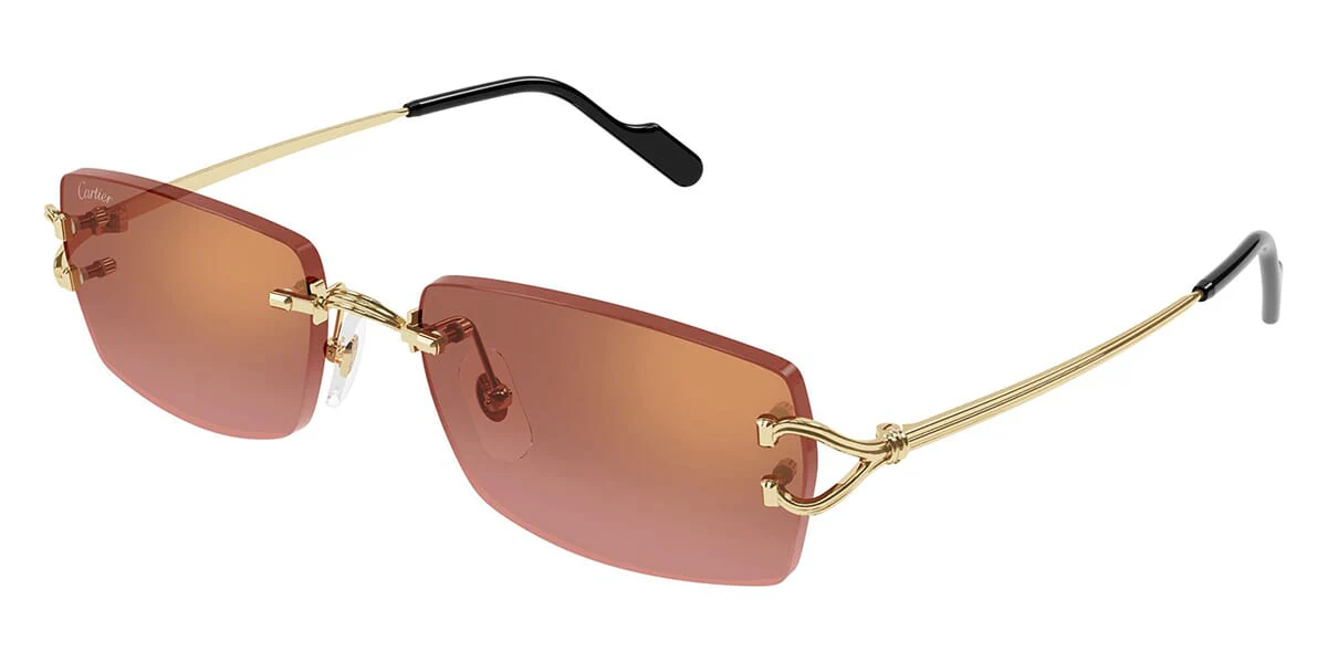 Cartier CT0551S 005