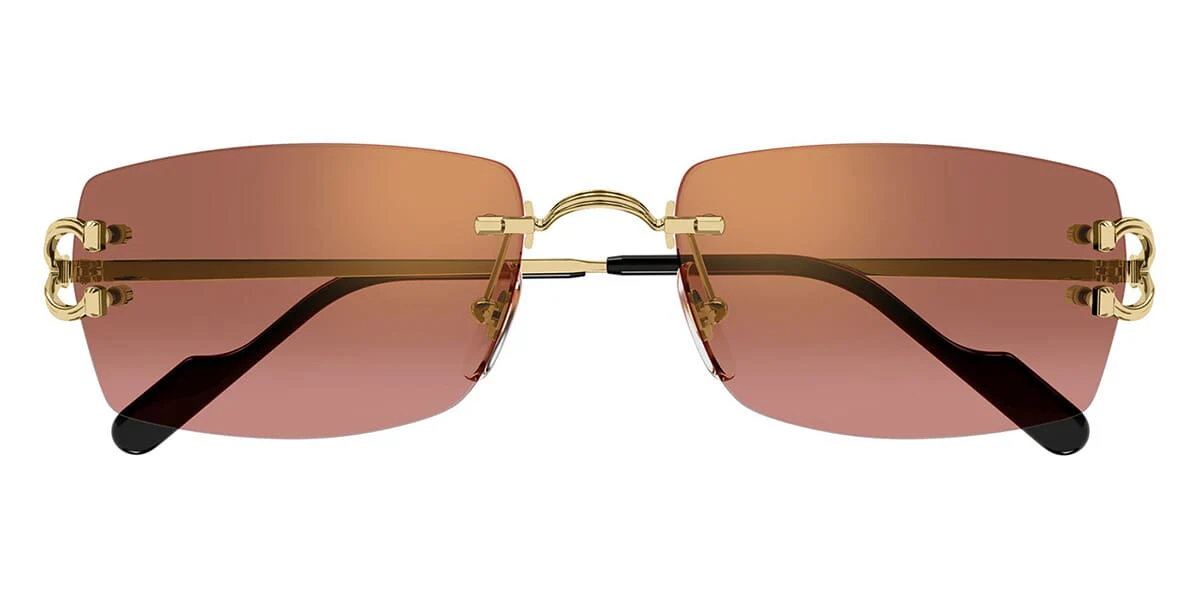 Cartier CT0551S 005 - Image 2