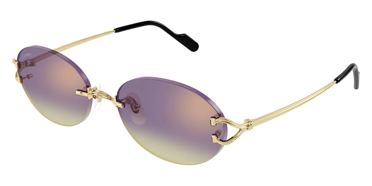 Cartier CT0551S 006