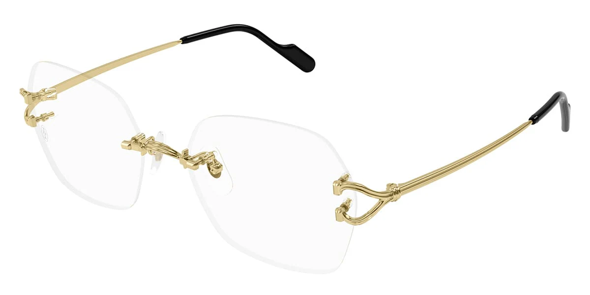 Cartier CT0564O 001