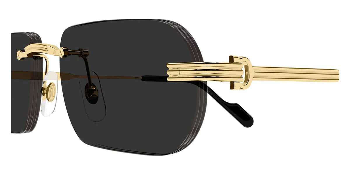 Cartier CT0577S 001 - Image 3