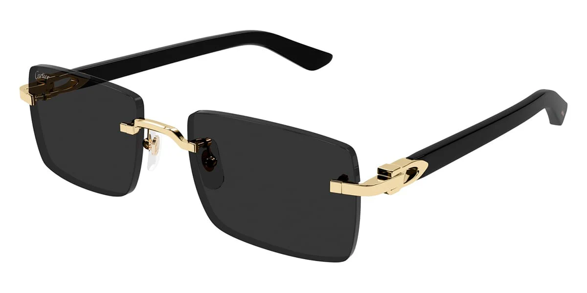 Cartier CT0579S 005