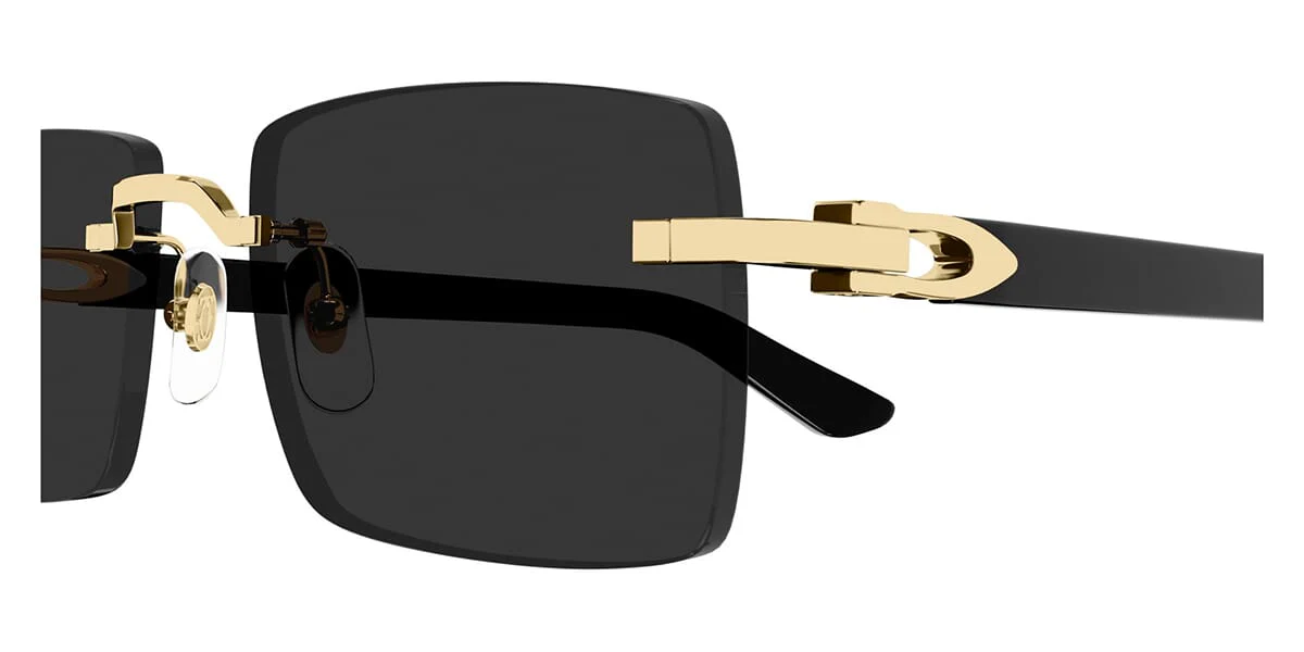 Cartier CT0579S 005 - Image 3