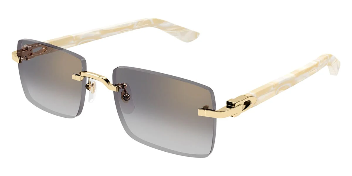 Cartier CT0579S 007