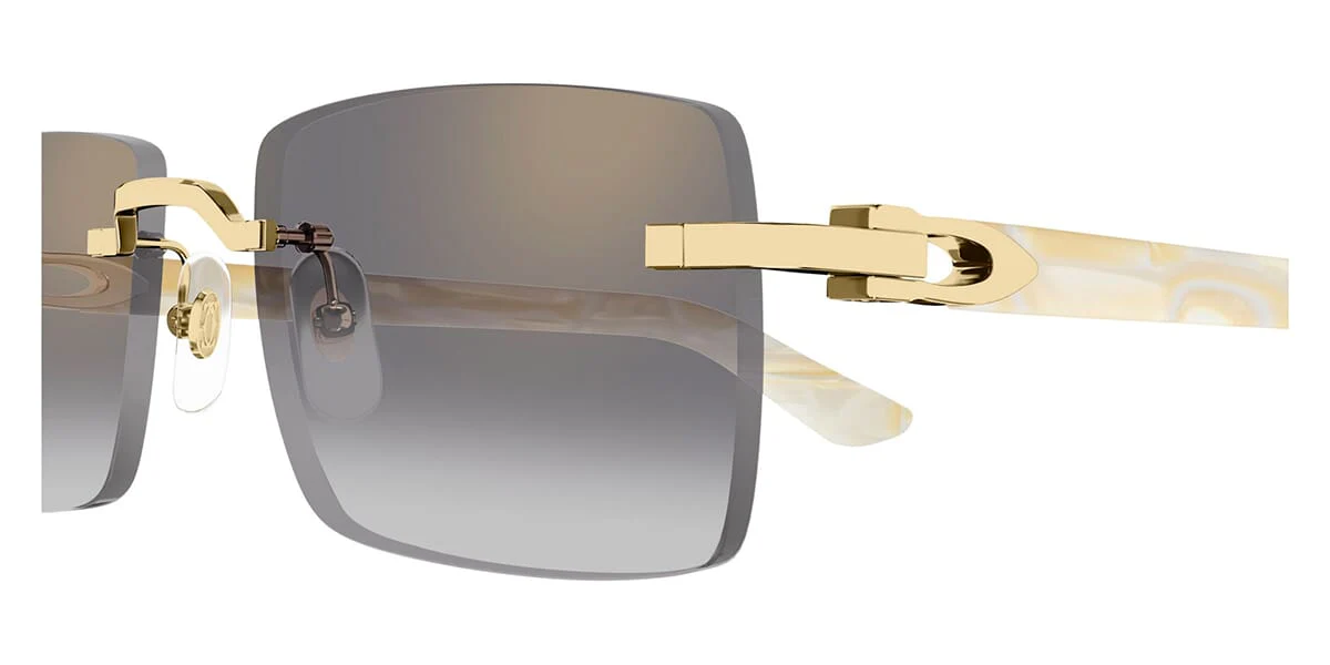 Cartier CT0579S 007 - Image 3