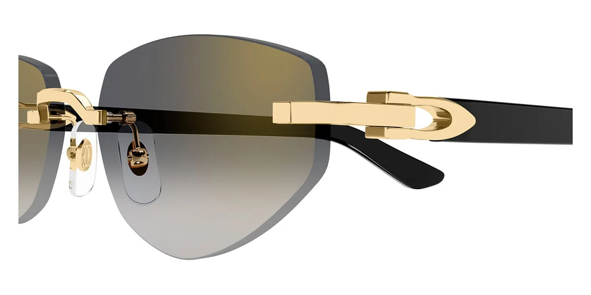 Cartier CT0580S 001 - Image 3