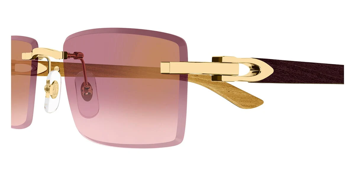 Cartier CT0582S 002 - Image 3