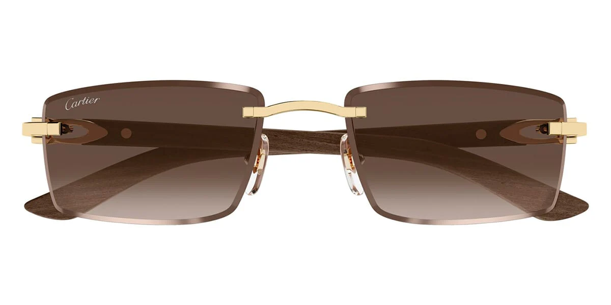 Cartier CT0582S 003 - Image 2