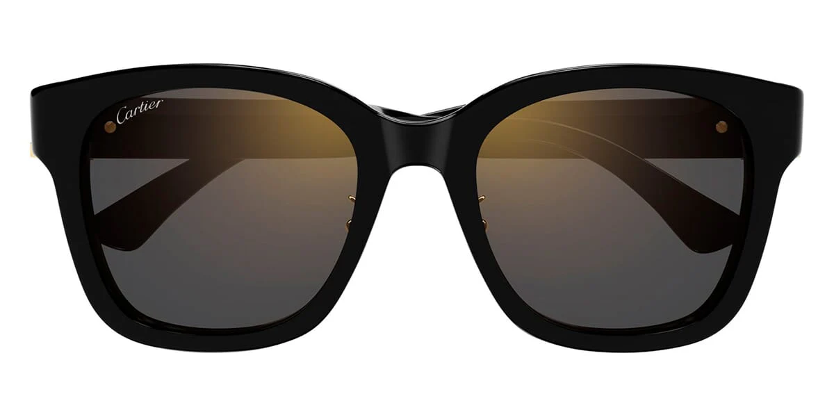 Cartier CT0589SA 001 - Image 2