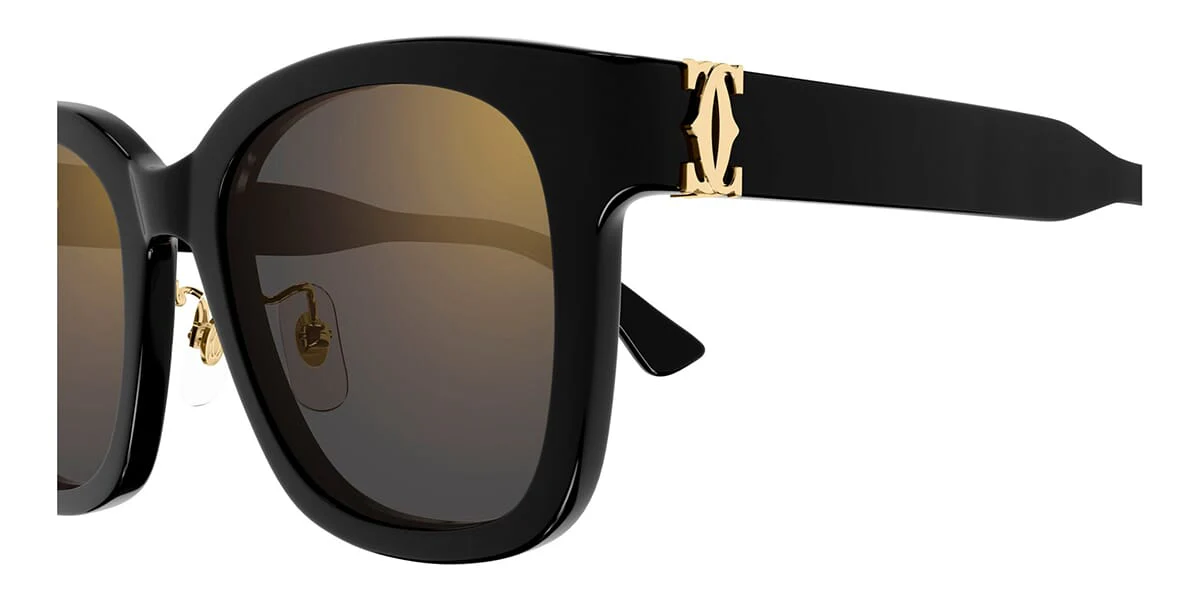 Cartier CT0589SA 001 - Image 3