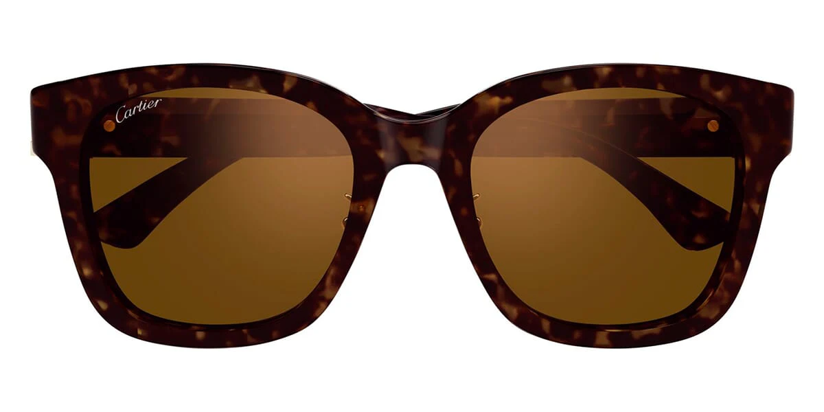 Cartier CT0589SA 002 - Image 2