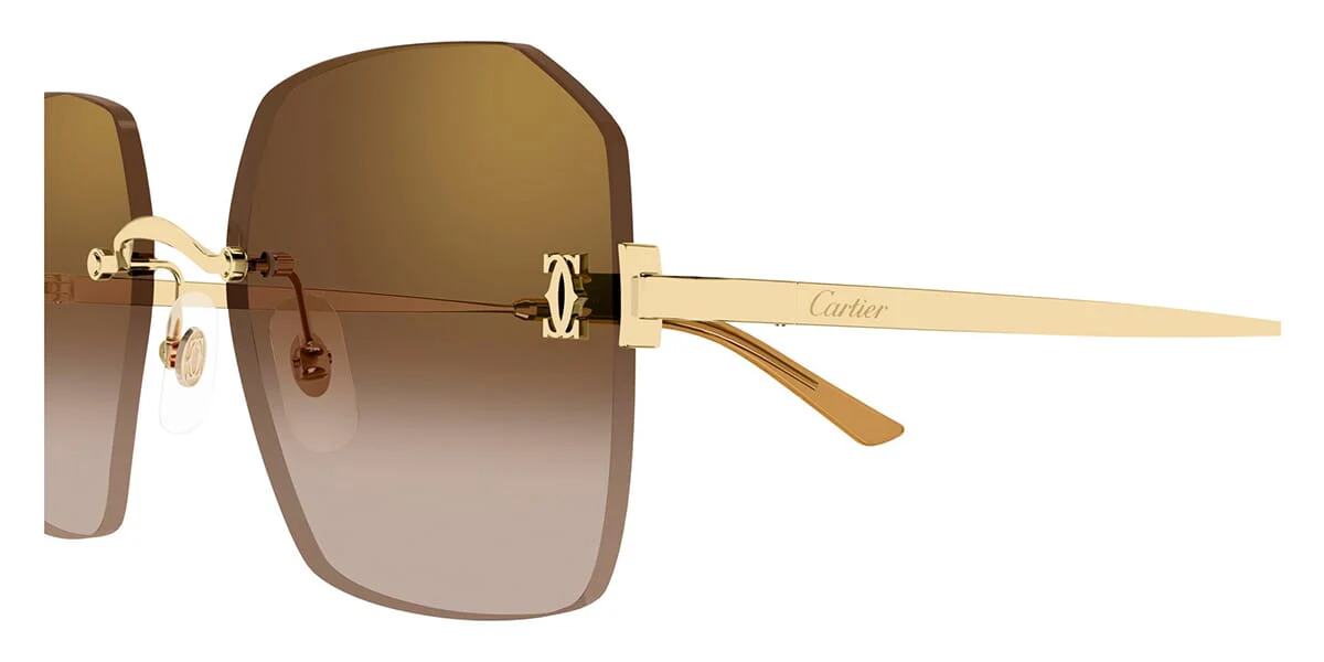 Cartier CT0591S 002 - Image 3
