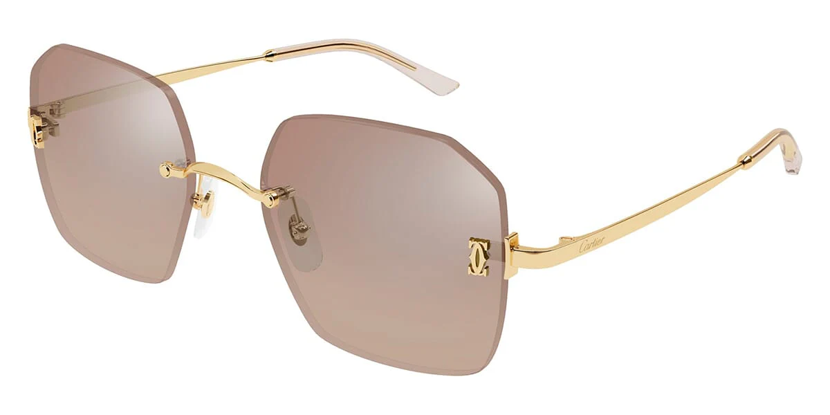 Cartier CT0591S 003