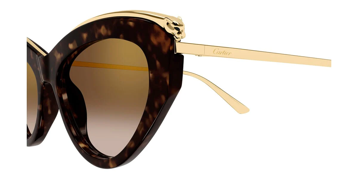 Cartier CT0596S 002 - Image 3