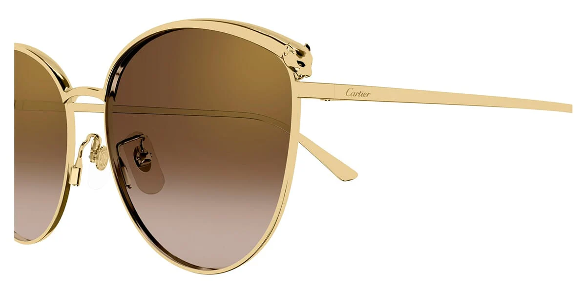 Cartier CT0597SA 002 - Image 3