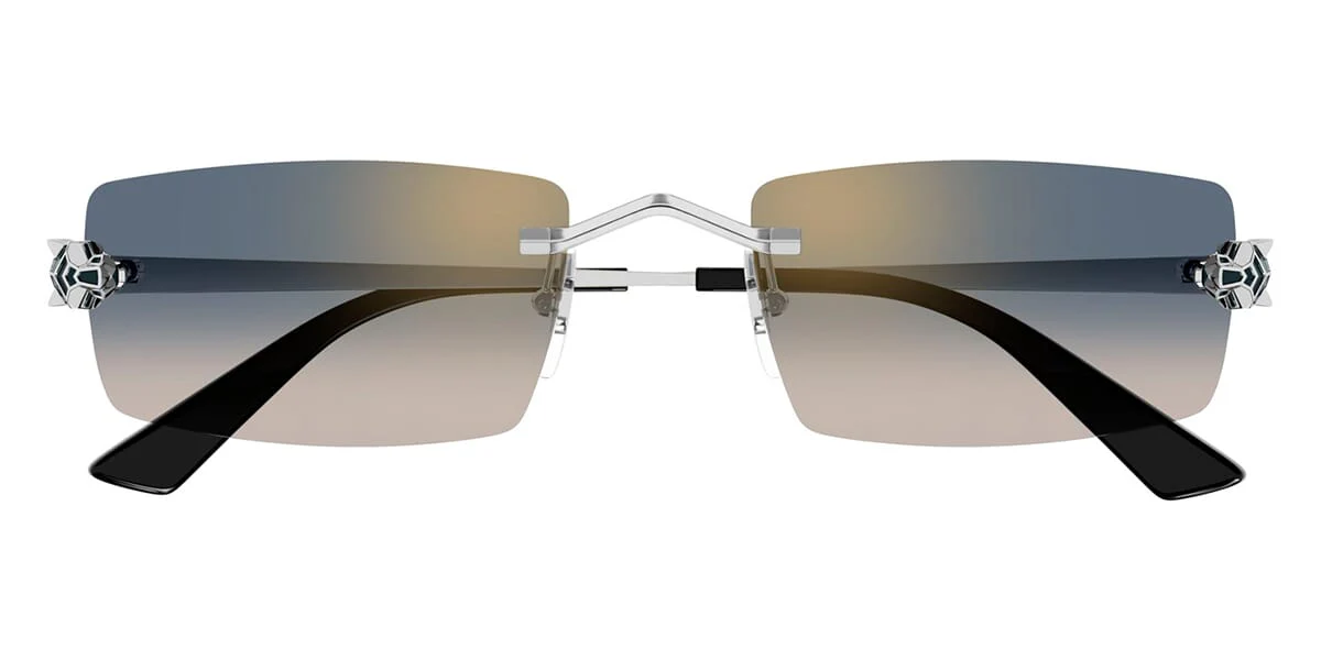 Cartier CT0598S 002 - Image 2