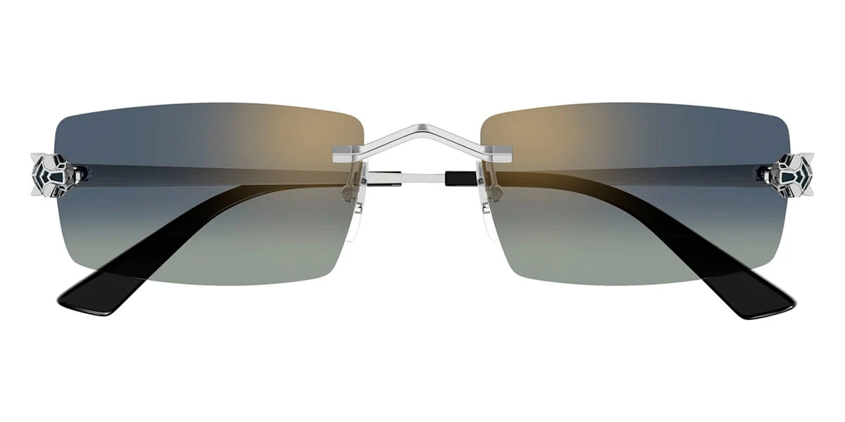 Cartier CT0598S 003 - Image 2