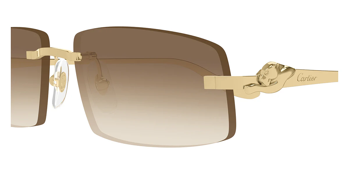 Cartier Panthere CT0505S 003 - As Seen On Eladio Carrion - Image 3