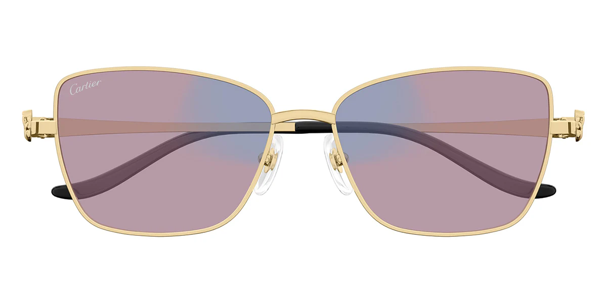 Cartier Panthere CT0523S 001 Blue and Beyond - Image 5