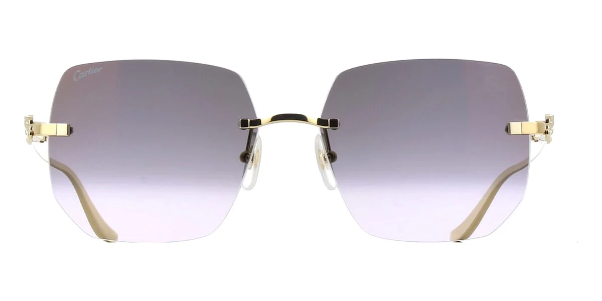 Cartier Panthere CT0549S 001 - Image 2