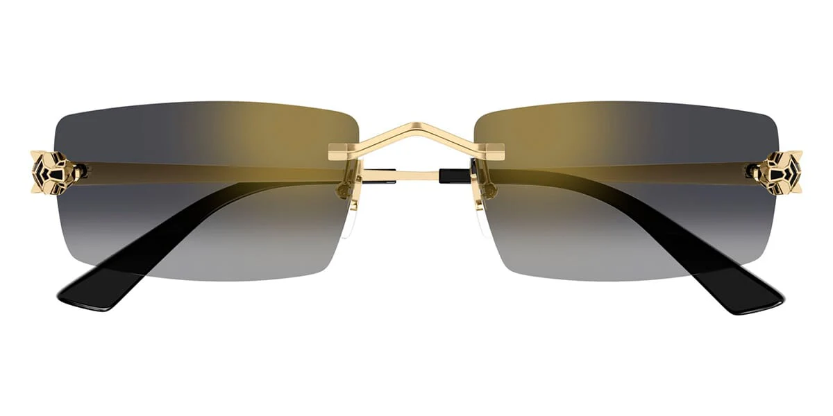 Cartier Panthere CT0598S 001 - Image 2