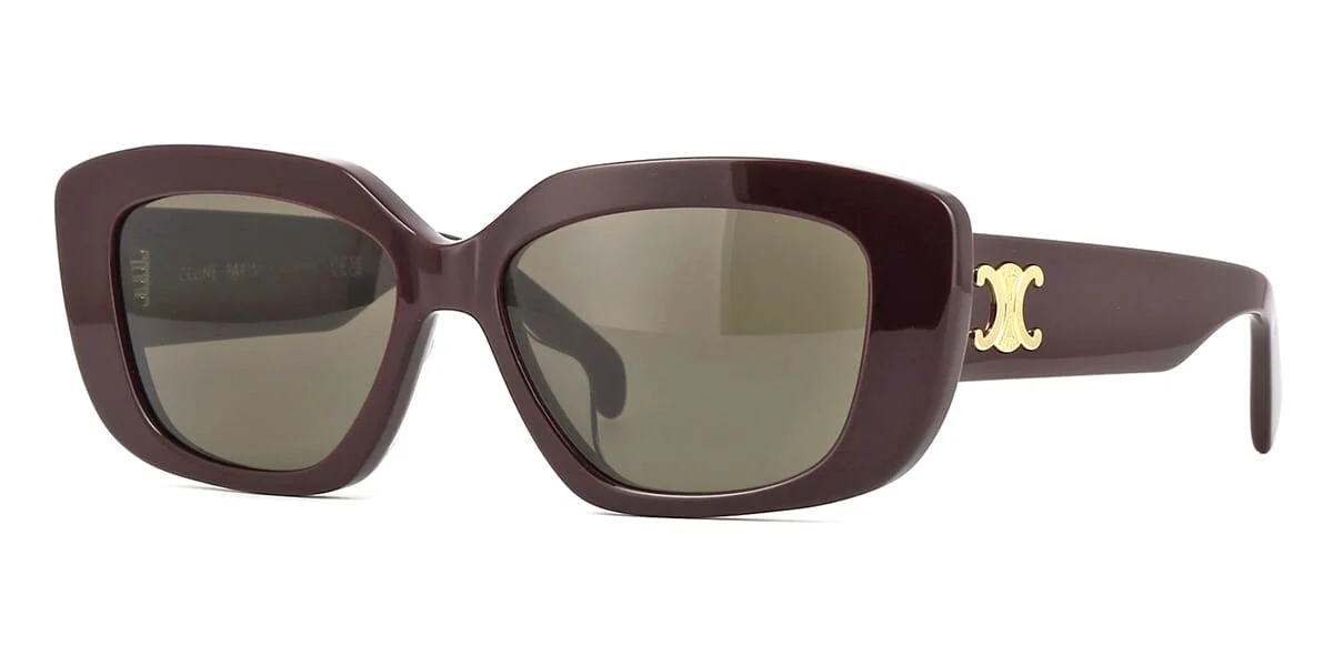 Celine Triomphe CL40216U 69E