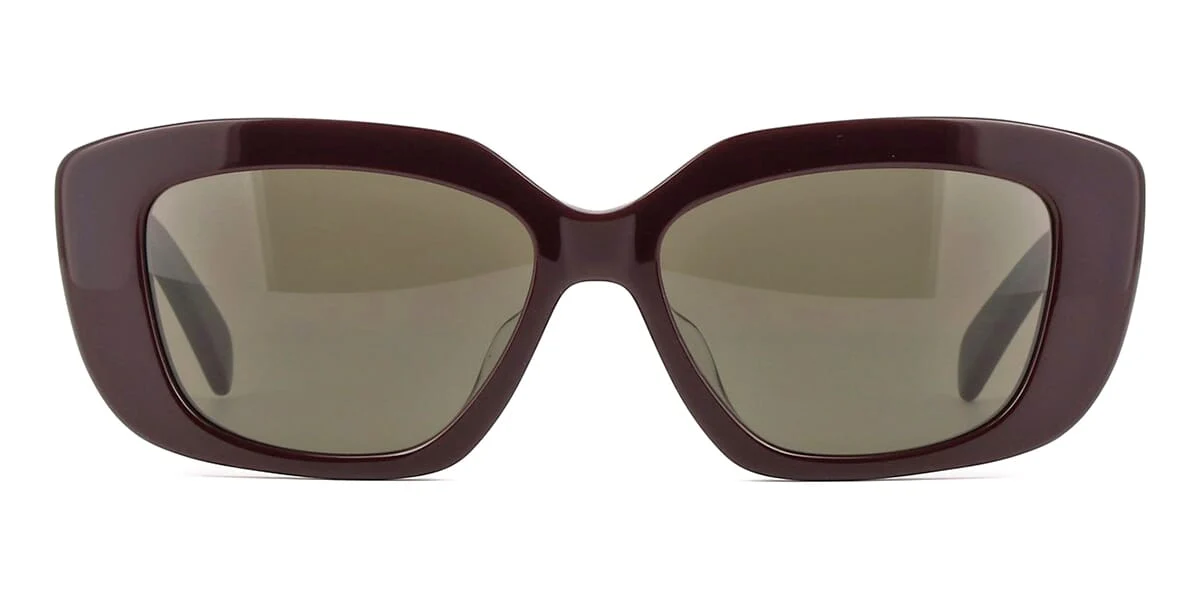 Celine Triomphe CL40216U 69E - Image 2