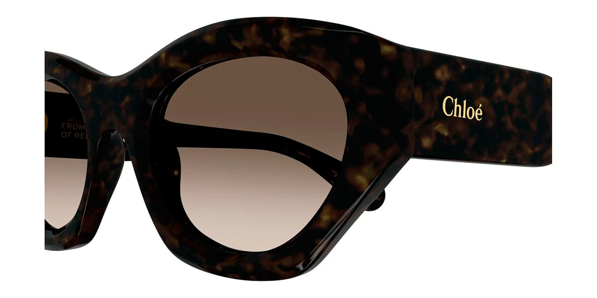 Chloe CH0220S 002 - As Seen On Kiernan Shipka - Image 3