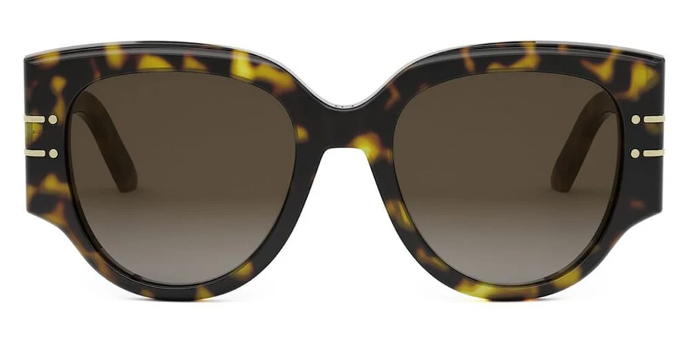 DiorSignature R2I 20F1 - Image 2