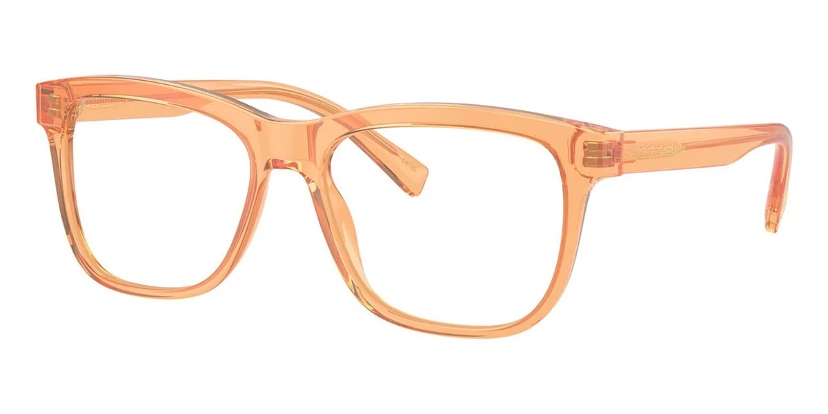 Dolce&Gabbana DX3356 3442 Kids Frame