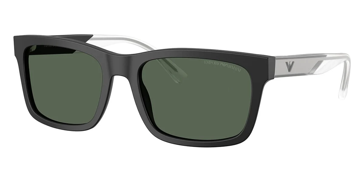 Emporio Armani EA4224 5001/71