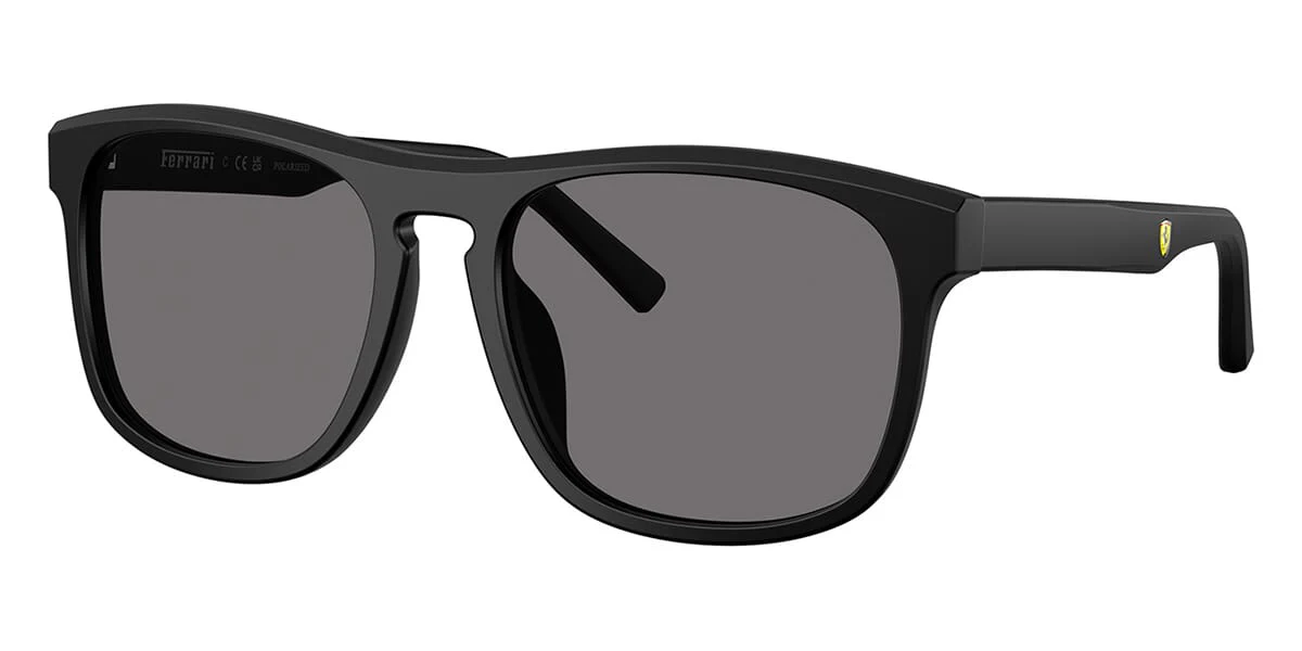 Ferrari Scuderia FZ6020U 701/81 Polarised